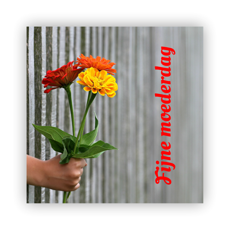 Fijne moederdag