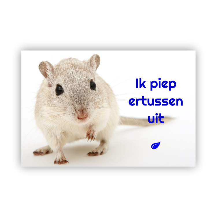 Ik piep ertussen uit
