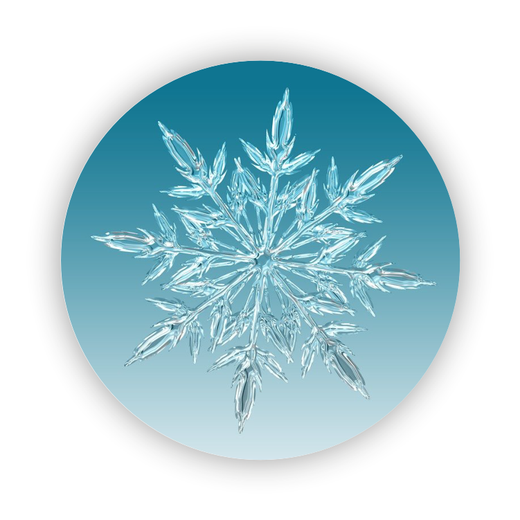 Kerstster
